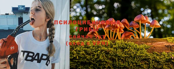 ГАЛЛЮЦИНОГЕННЫЕ ГРИБЫ Алзамай