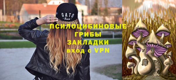 ешки Алексеевка