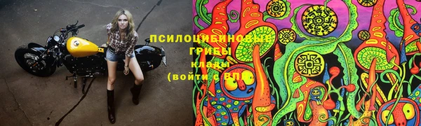 шишки Алексин