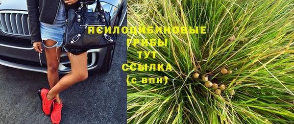 шишки Алексин